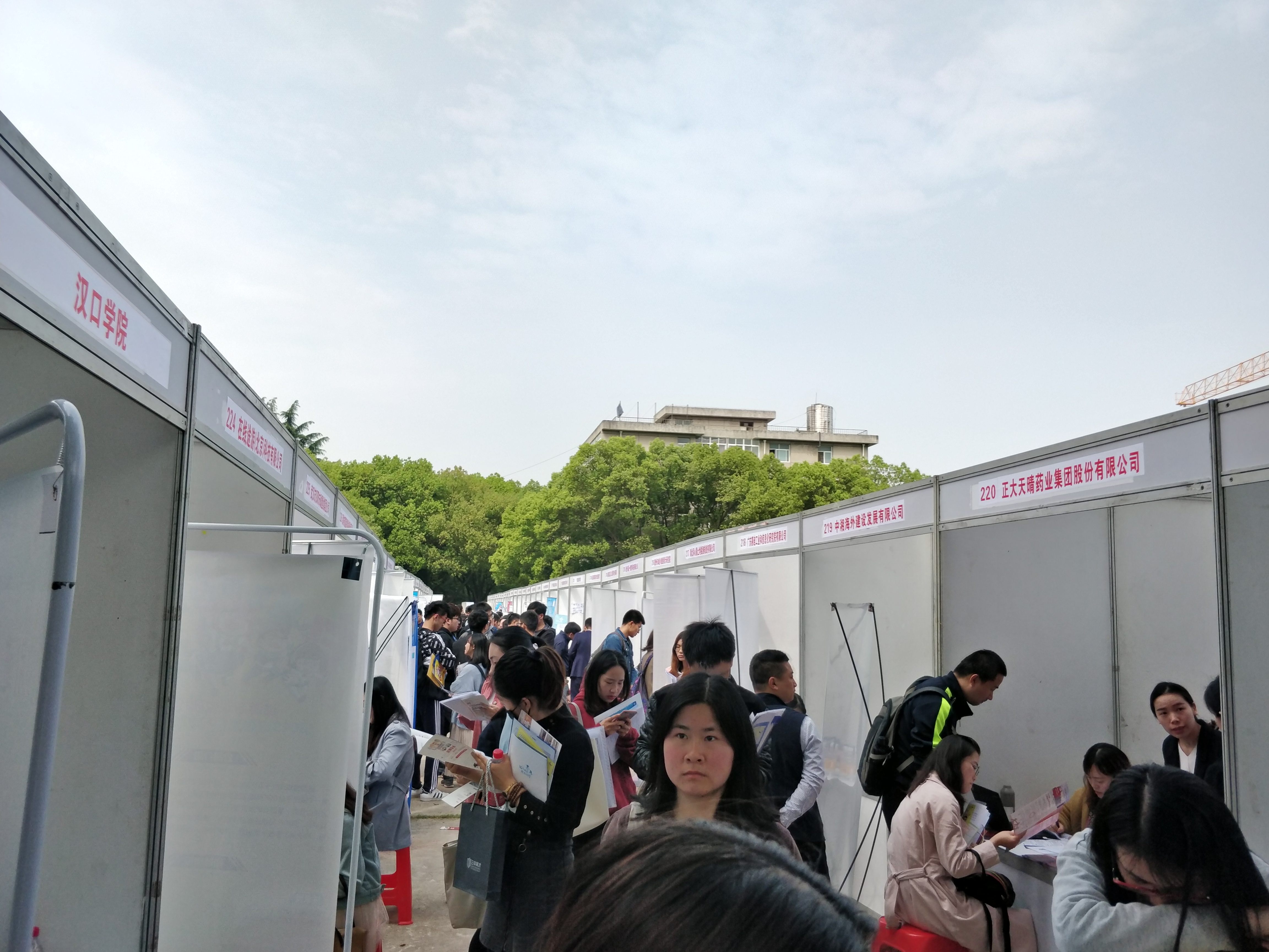 九慧信息
